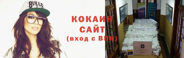гашик Арсеньев