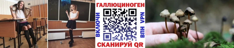 Галлюциногенные грибы Magic Shrooms Будённовск