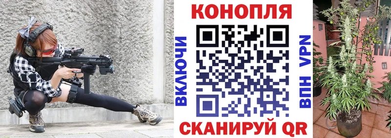 Бошки марихуана марихуана  OMG рабочий сайт  Будённовск 